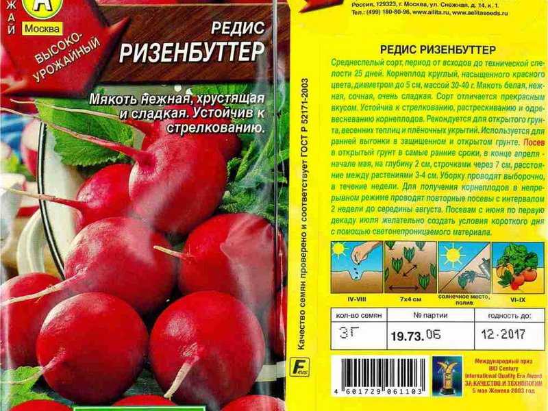 Лучшие сорта редиса
