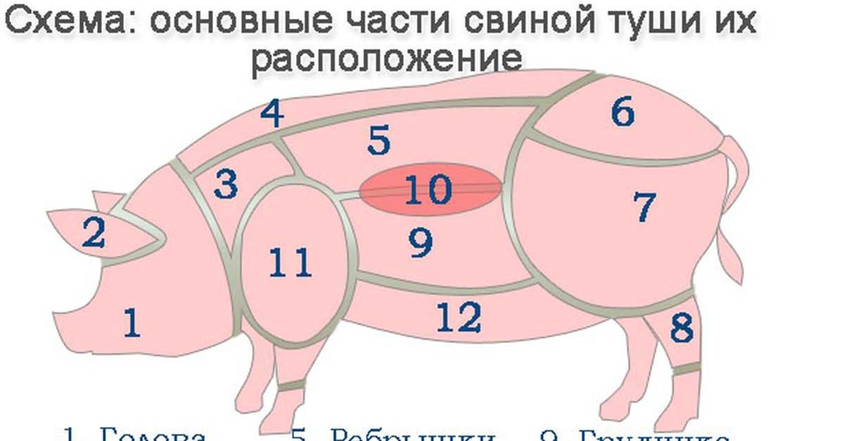 ᐉ какая часть свинины самая мягкая и вкусная: корейка, вырезка - zooon.ru
