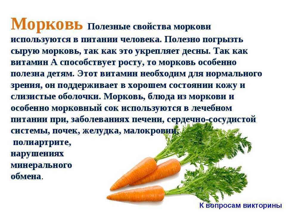 Польза моркови — 10 доказанных свойств для здоровья организма