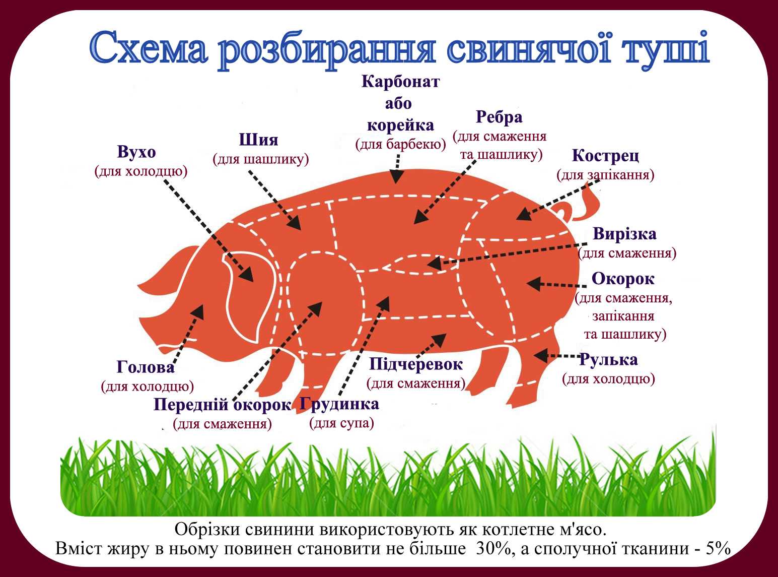 Свиная корейка: особенности и правила выбора этой части туши