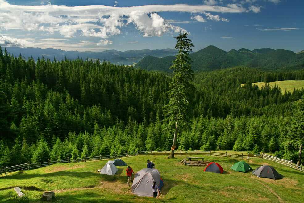 Экологический туризм, цели, виды, направления экотуризма