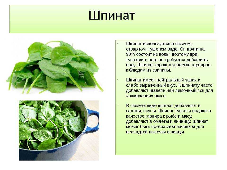 Шпинат.. капуста, салат, щавель, шпинат. сажаем, выращиваем, заготавливаем, лечимся ... 63.