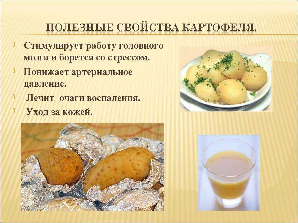 Картофель