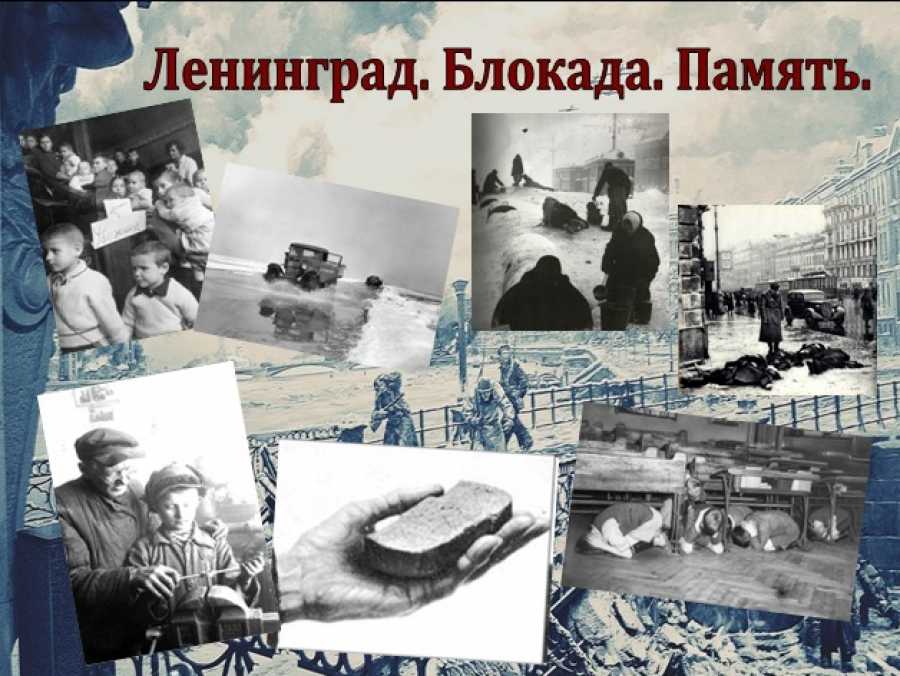 У одних пирожные и крабы, а у других деревья! шокирующие факты о блокаде ленинграда
