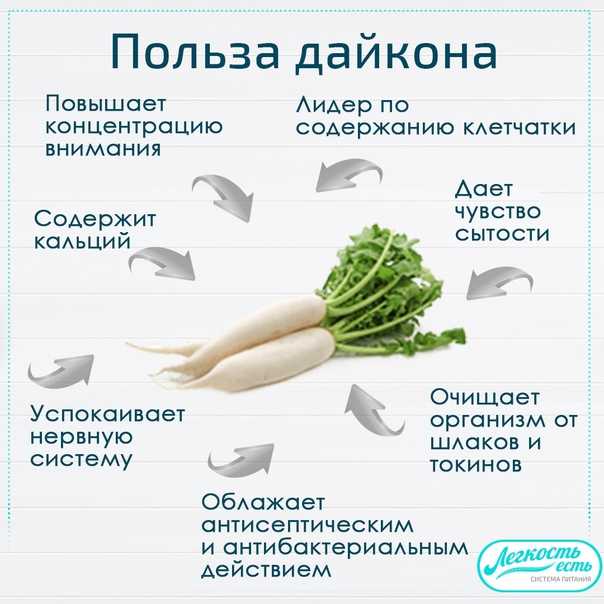 Редька посевная черная