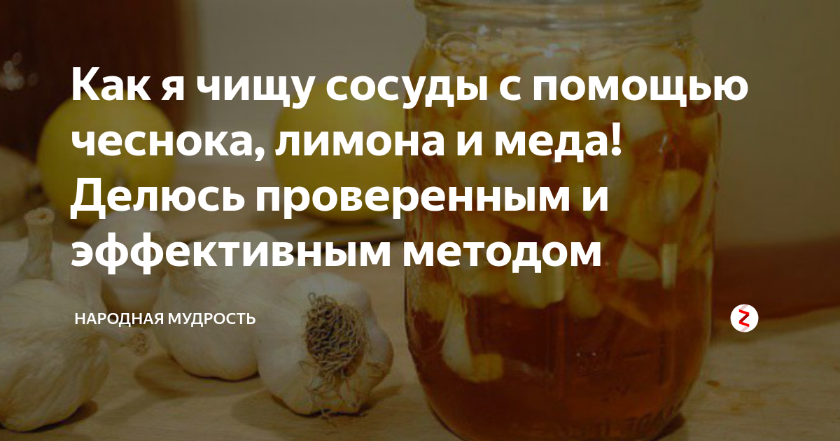 Чесночная настойка для чистки сосудов – тибетский рецепт, его особенности, польза для здоровья