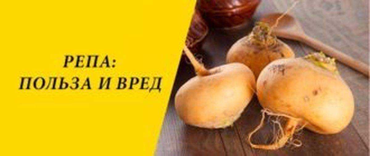 Репа — польза и вред для здоровья, состав и противопоказания