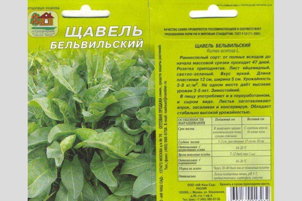 Собираем и заготавливаем свои семена: какие, когда, как сохранить