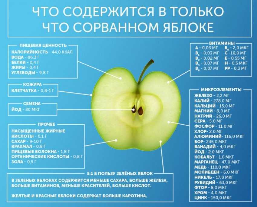 Яблоко – ценнейший по своим свойствам и вкусовым качествам продукт, который содержит целый спектр витаминов – A, B 1, 2, 3, 5, 6, 9, C, E, H, K, PP и