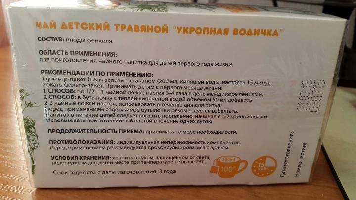 Полезные и вредные свойства укропа при беременности