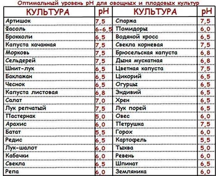 Подготовка грядки под чеснок: секреты высоких урожаев
