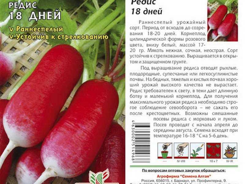 Лучшие сорта редиса для россии и ее регионов