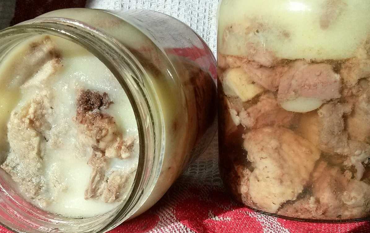 Рецепты гуся в духовке, чтобы мясо получилось мягким и сочным