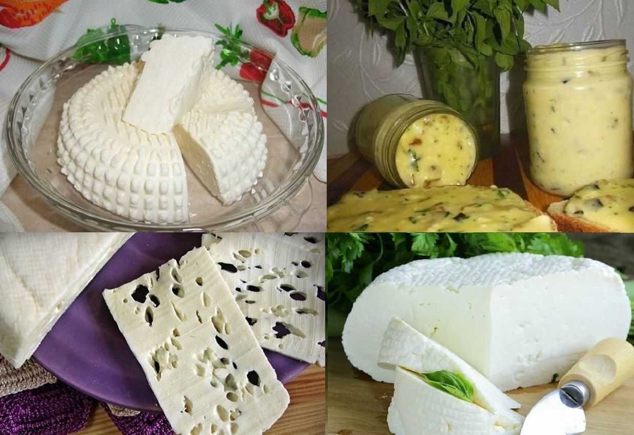 Домашний сыр: простые и вкусные рецепты