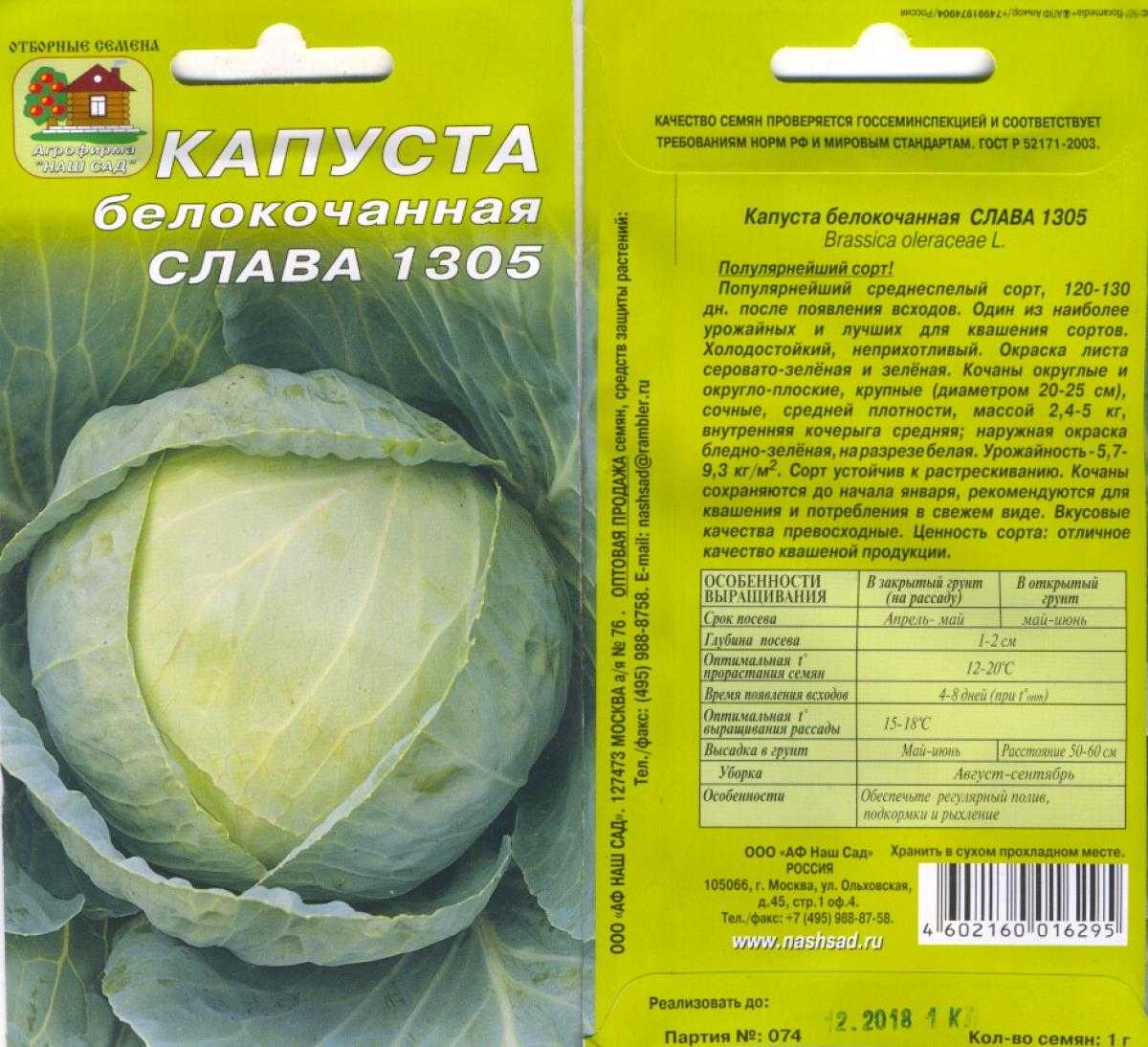 23 факта о белокочанной капусте, которых вы не знали, правда и мифы
