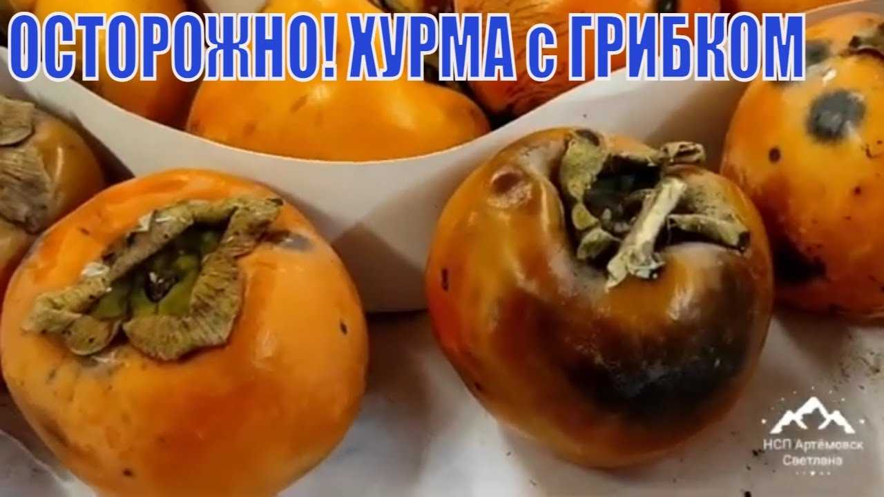 Хурма внутри в черную крапинку - ogorodexp.ru