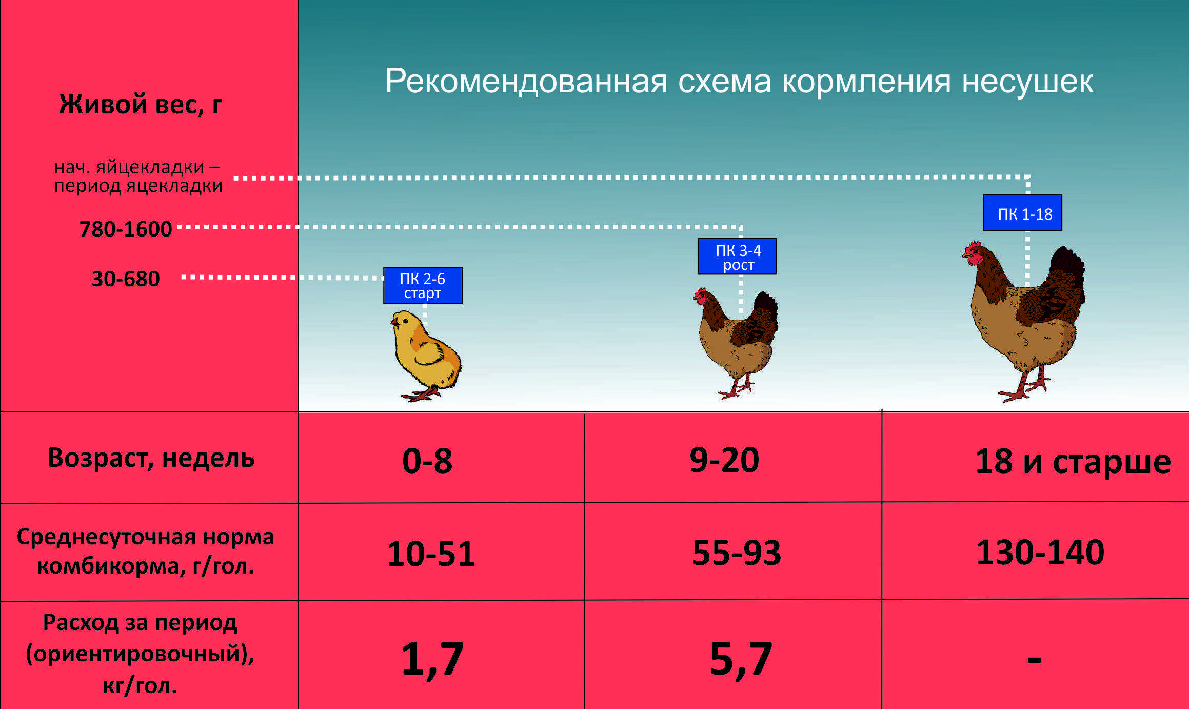 Можно ли кроликам давать сосну, топинамбур соль и другие добавки