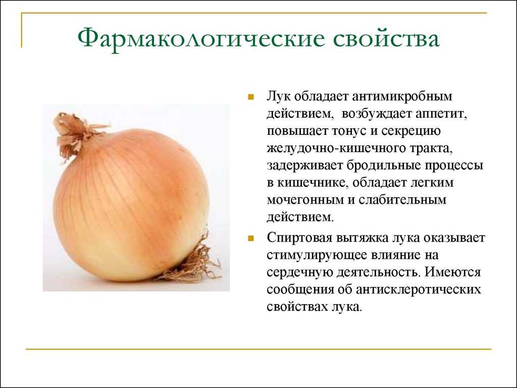 Чем полезен репчатый лук в сыром виде для женщин