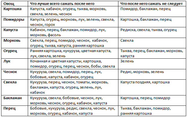 Что после чего сажать на следующий год и почему: таблица