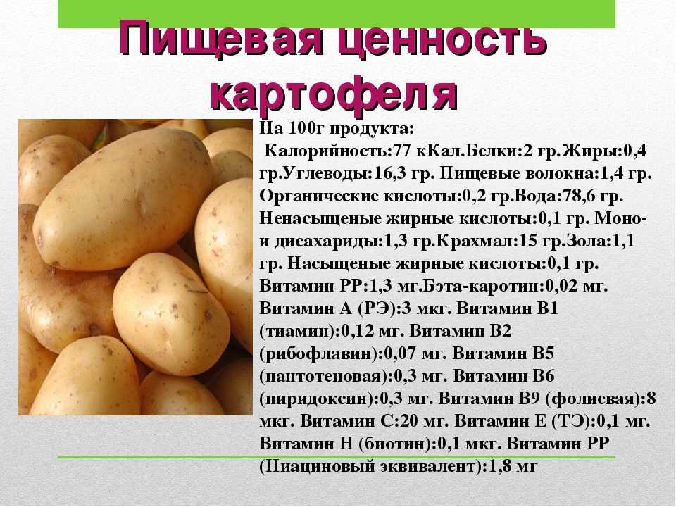 Картошка: в чём польза, вред, состав, калорийность, в мундире, фри