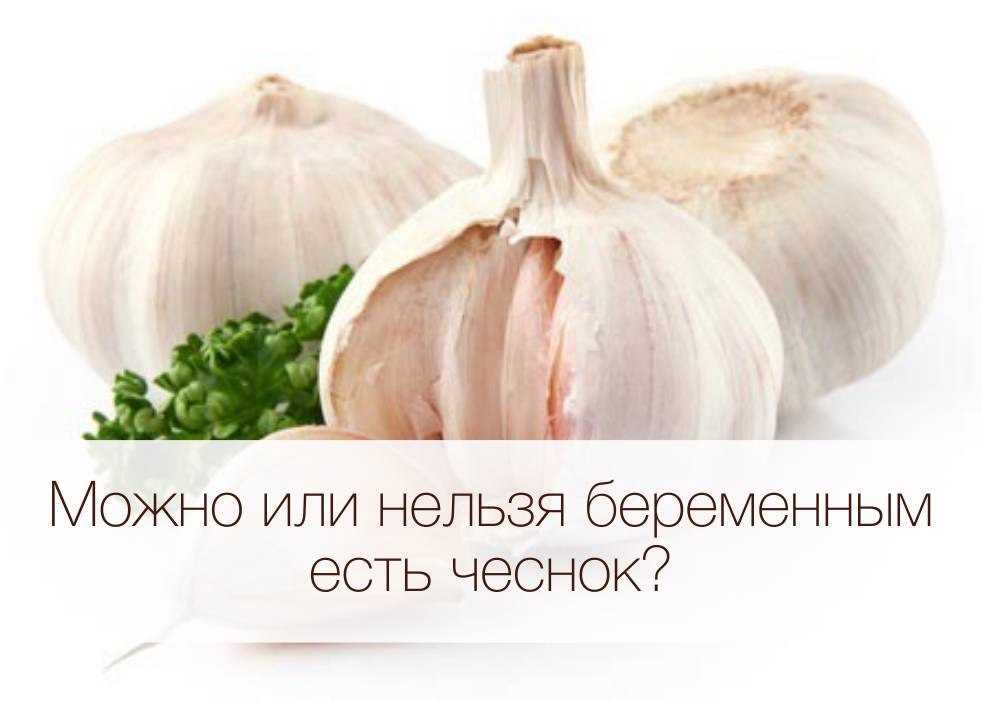 Печеный лук — польза и вред для здоровья, методы лечения, рецепты