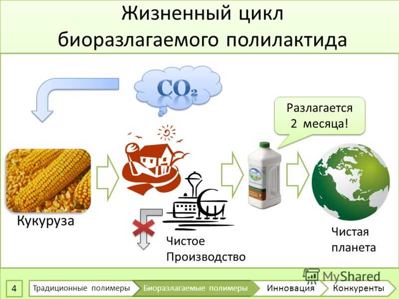 Что такое биоразлагаемый материал и его значение? ▷➡️ постпост | постпост