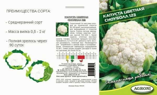 Посадка цветной капусты в открытый грунт рассадой
