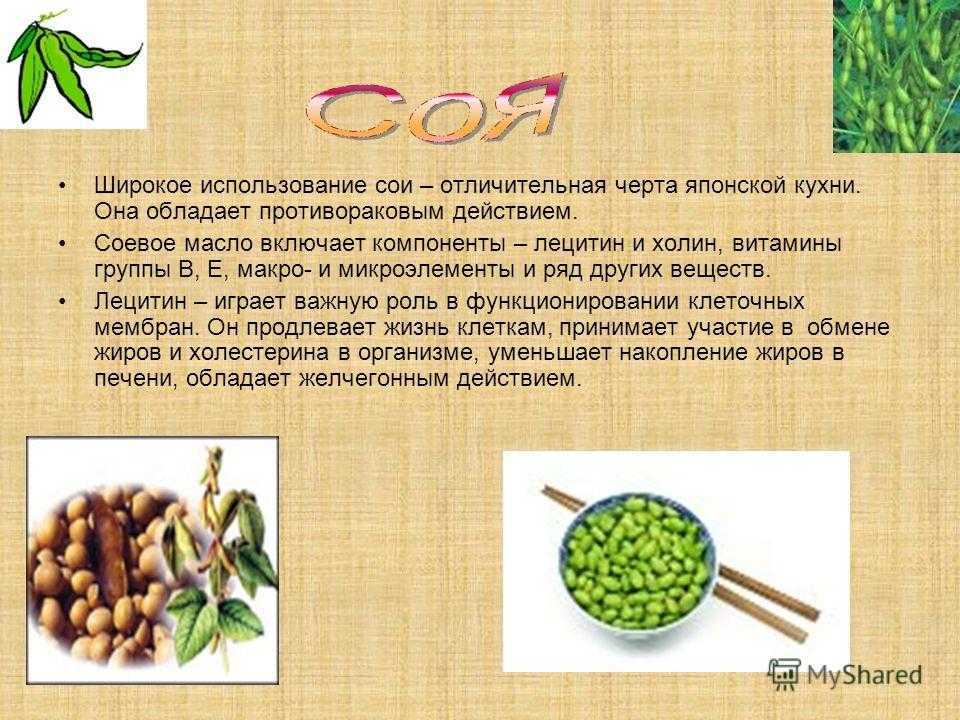 Что такое соя и чем соевые бобы отличаются от семян других растений