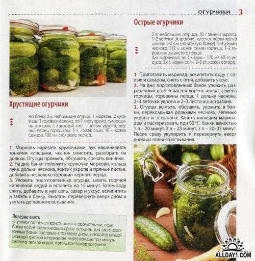 Маринованные огурцы с луком на зиму: 11 самых вкусных рецептов