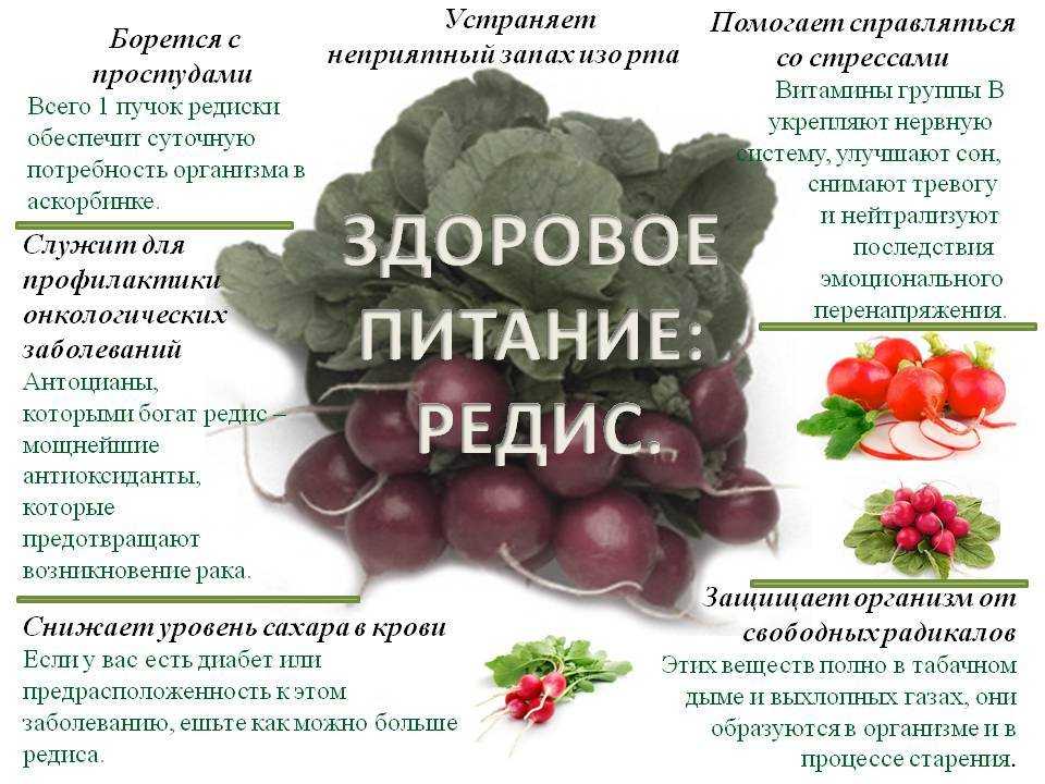 Щавель
