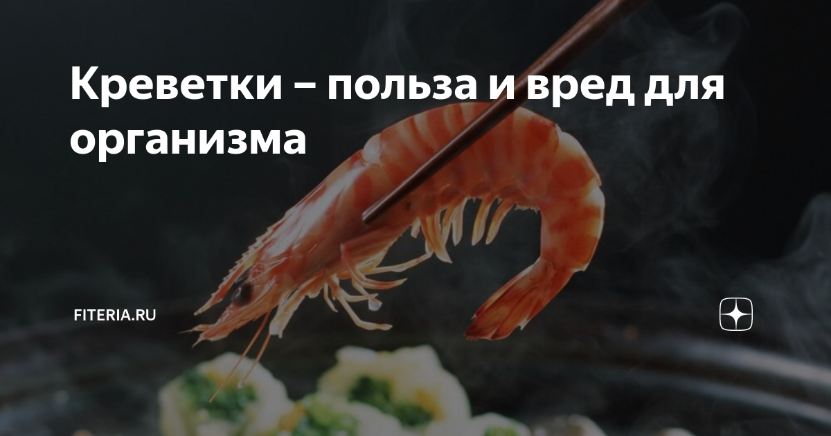 Виды креветок - самые большие и маленькие разновидности
