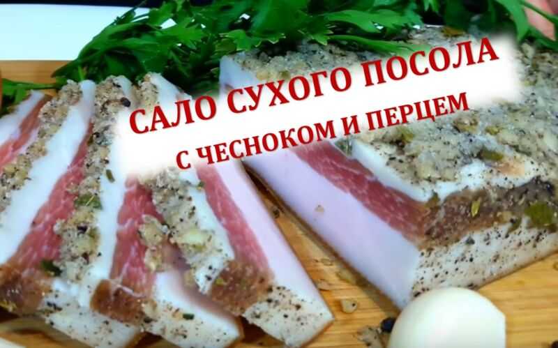 Как засолить вкусное сало дома, чтобы таяло во рту: простые и доступные рецепты приготовления