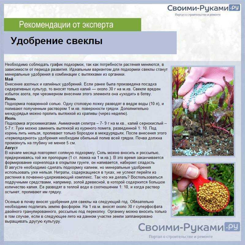 Чем подкормить морковь: 3 главных подкормки, сроки, нормы удобрений | ягодный сад, или прикладное садоводство в советах, вопросах и ответах