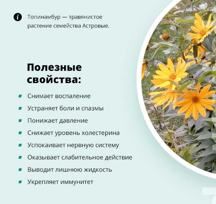 Янтарная кислота для лица – уникальные свойства (топ-7 рецептов)