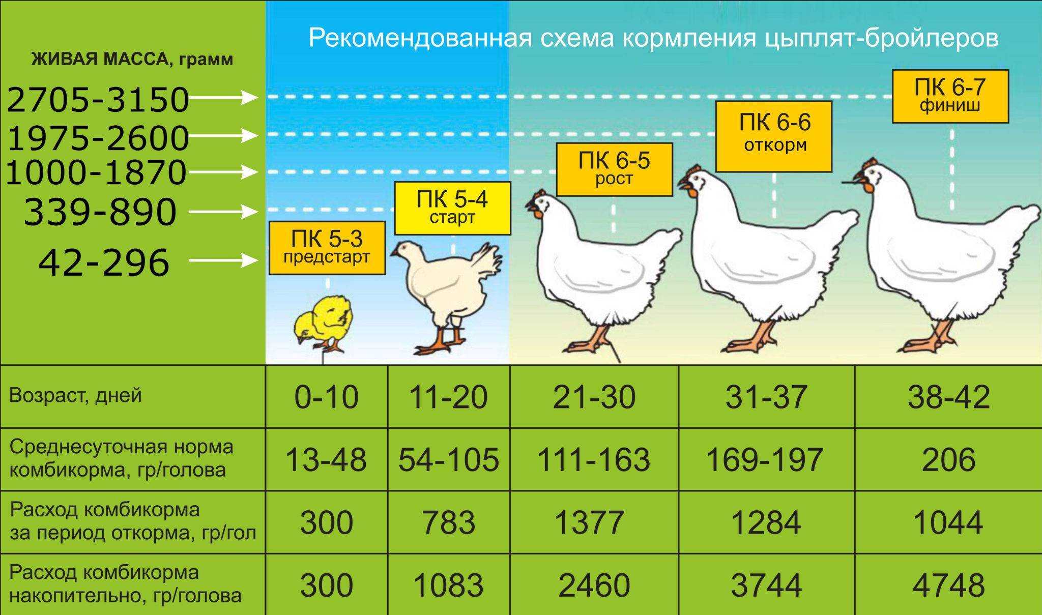 Можно ли давать кроликам топинамбур и его зеленую массу, в каких количествах