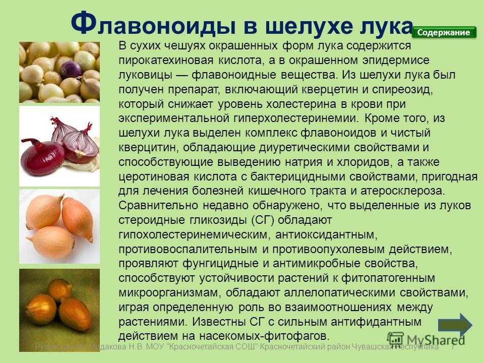 Луковая шелуха — польза и вред для организма, рецепты народной медицины ?