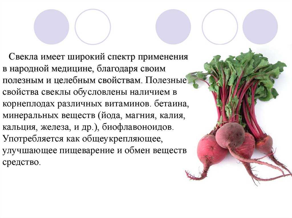 Свекла: польза и применение | food and health