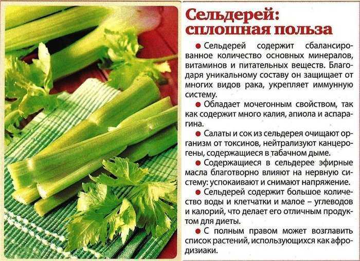 Что можно кушать на ночь без вреда для фигуры и чтобы не поправиться?