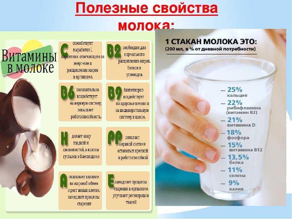 Польза или вред пшённой каши