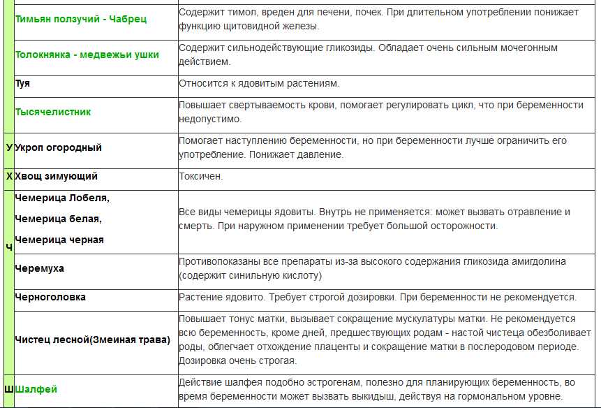 Стоит ли есть чеснок во время беременности?