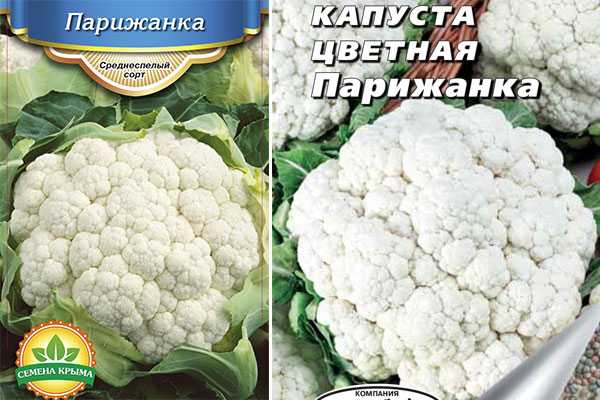 Лучшие сорта цветной капусты: самые урожайные с описанием и фото