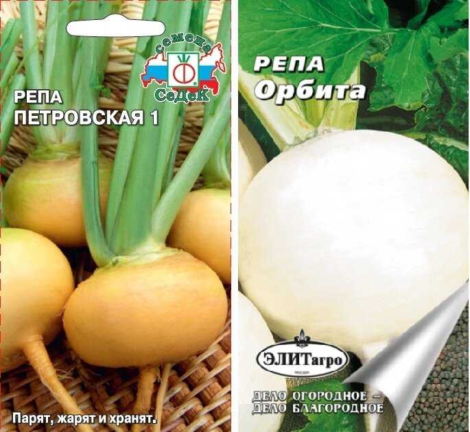 Репа – овощ для любого региона