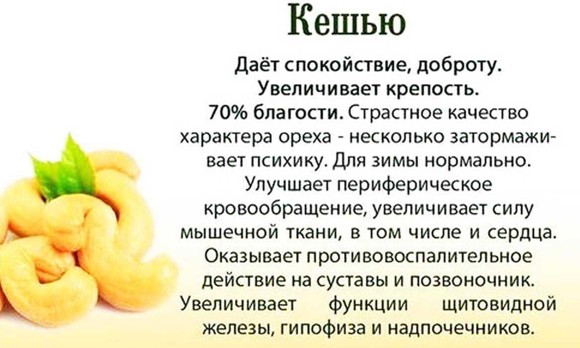 Как растёт кешью и как его достают