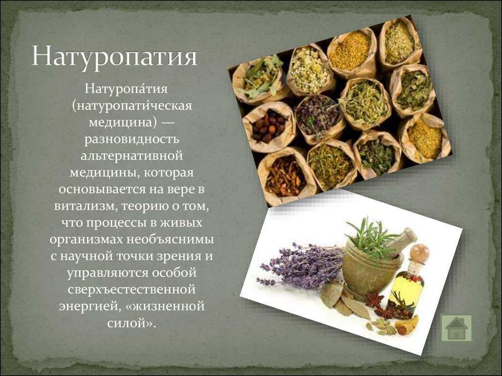 Натуропатия - тренд современности или хорошо забытое старое  Давайте разберёмся вместе и решим Факты и интересные детали