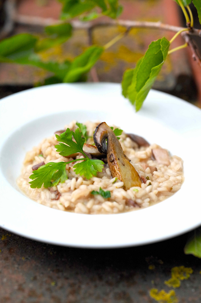Домашнее ризотто – вкус италии своими руками. рецепты, секреты и советы гурманов: как приготовить ризотто в домашних условиях