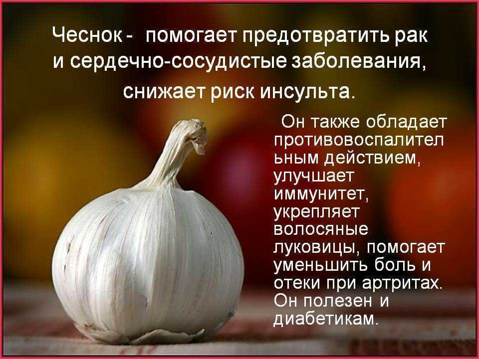 Жареный чеснок – изыск восточной кухни, как его правильно употреблять? в чем польза и вред жареного чеснока? - автор екатерина данилова - журнал женское мнение