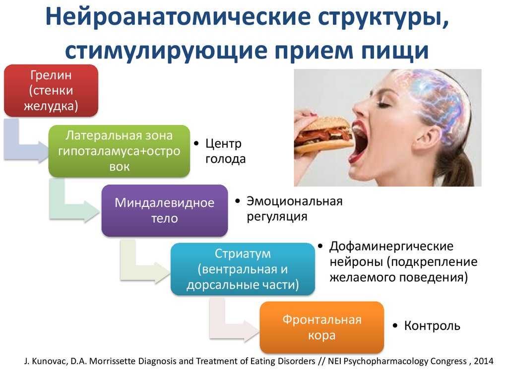 Диагностика расстройства пищевого поведения - профессионал здравоохранения 2024