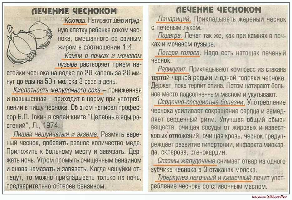 Луковый сок: 13 полезных свойств и рецептов применения