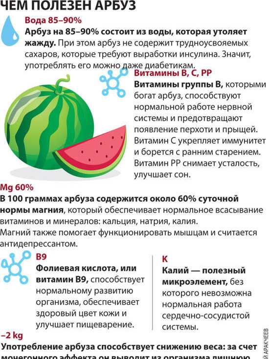 Арбуз: польза и вред, пищевая ценность и состав арбуза, применение арбуза в медицине и косметологии