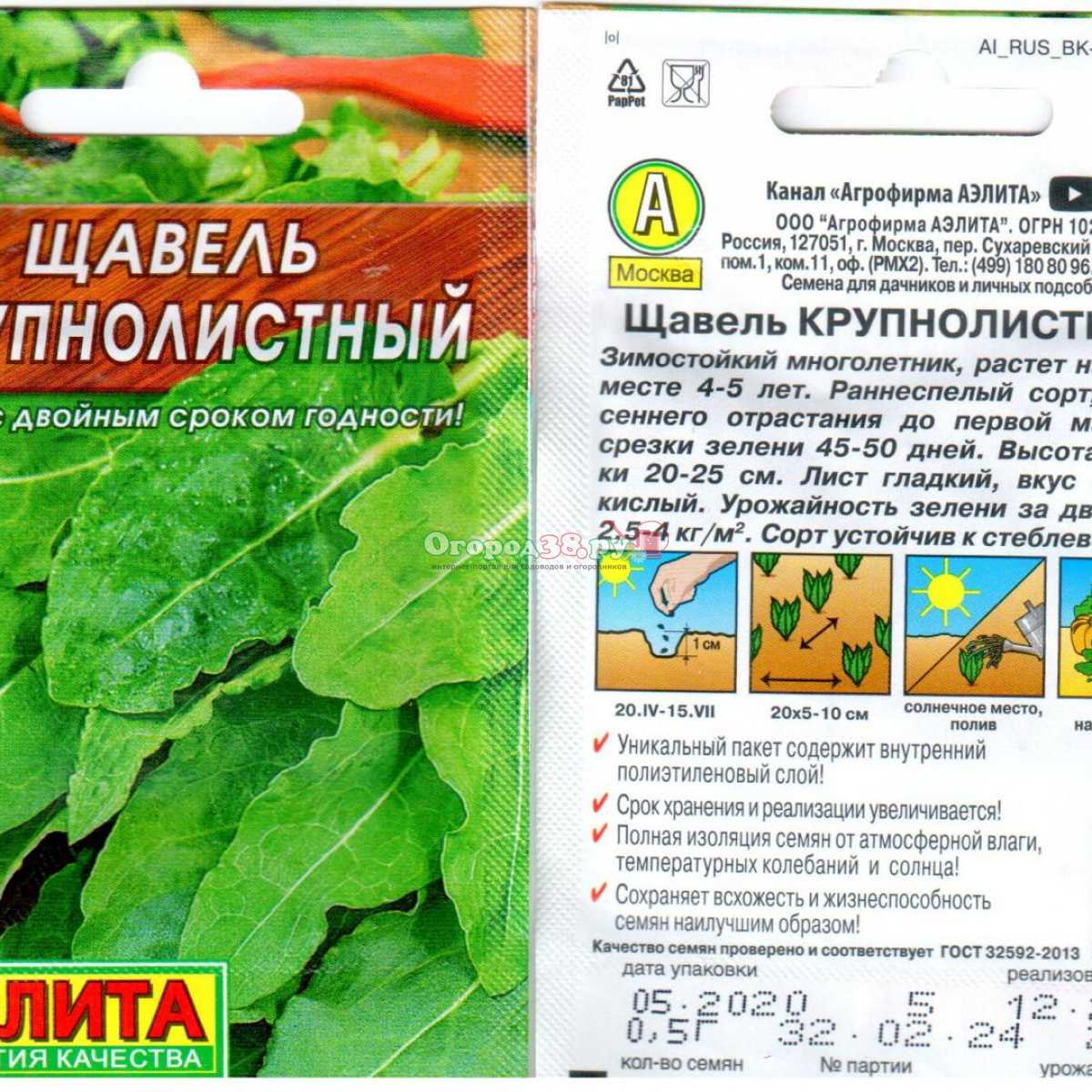 Интересные факты о щавеле, также обыкновенном и фото, как он выглядит на грядке Читайте об основании листа, семействе, корневой системе Узнайте, однолетняя это или многолетняя зелень, трава или овощ, где и сколько растет, называется ли по-другому